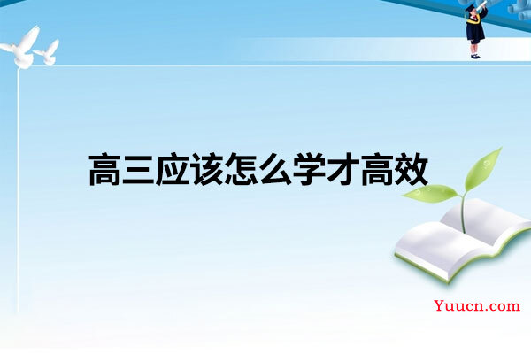 高三应该怎么学才高效