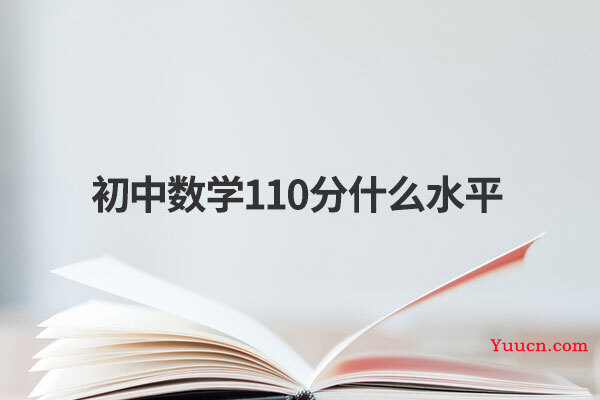 初中数学110分什么水平