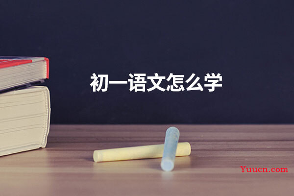 初一语文怎么学