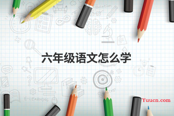 六年级语文怎么学