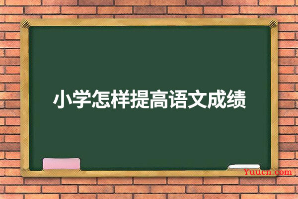 小学怎样提高语文成绩