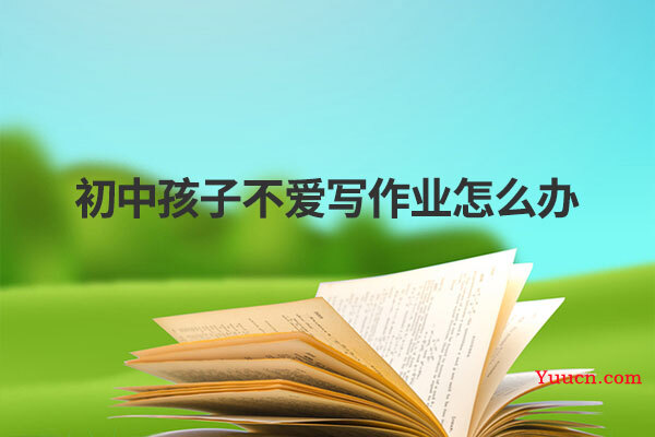 初中孩子不爱写作业怎么办