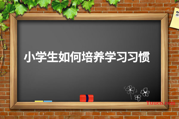 小学生如何培养学习习惯