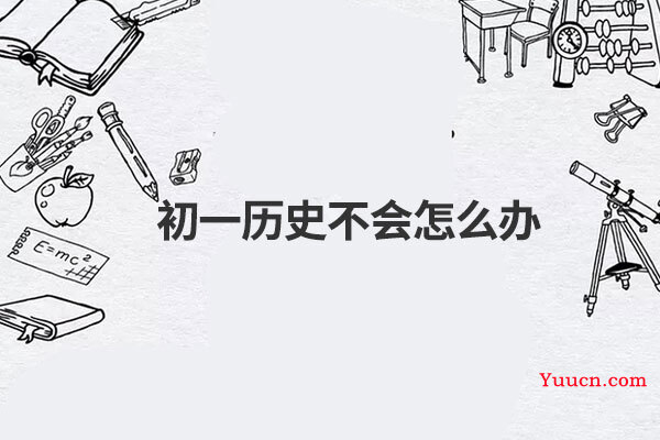 初一历史不会怎么办