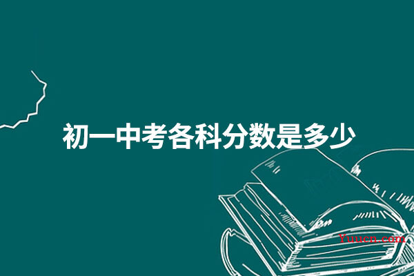 初一中考各科分数是多少