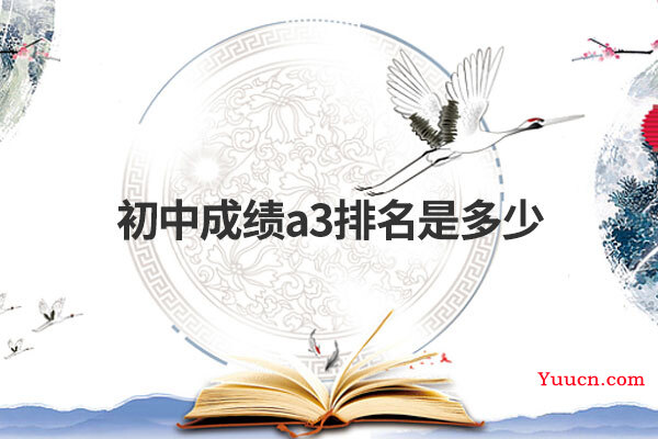 初中成绩a3排名是多少