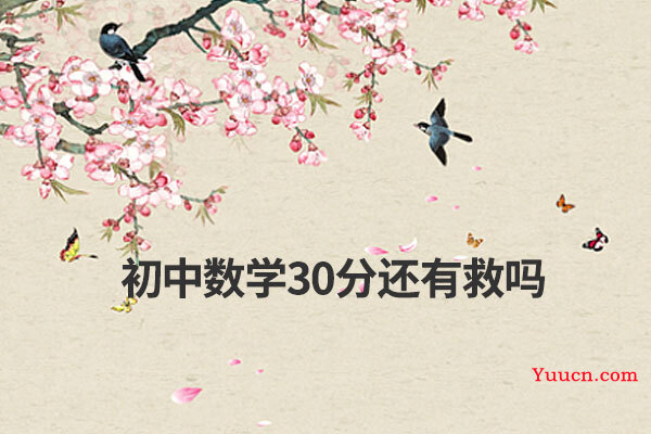 初中数学30分还有救吗 初中数学30分还有救吗