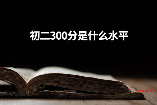 初二300分是什么水平