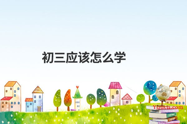 初三应该怎么学