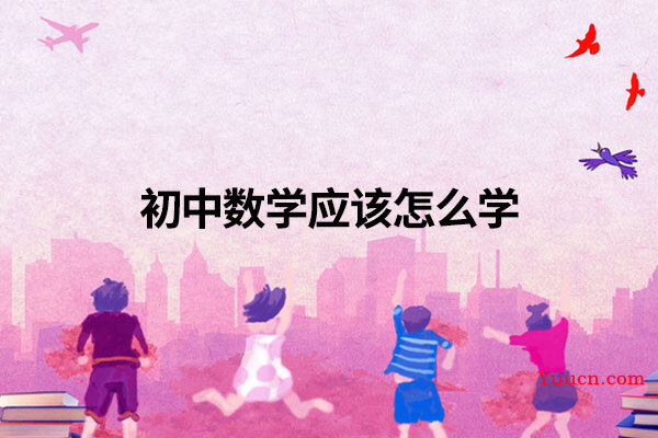 初中数学应该怎么学