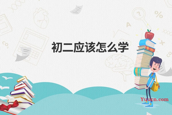 初二应该怎么学