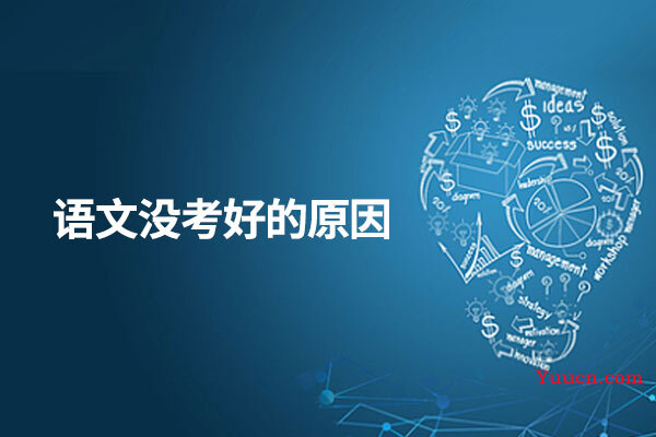 语文没考好的原因