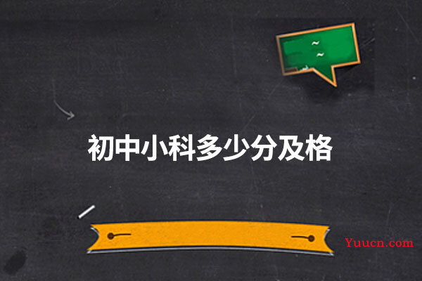 初中小科多少分及格