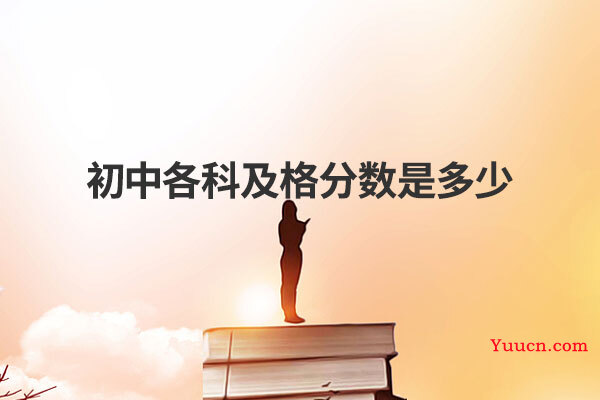 初中各科及格分数是多少