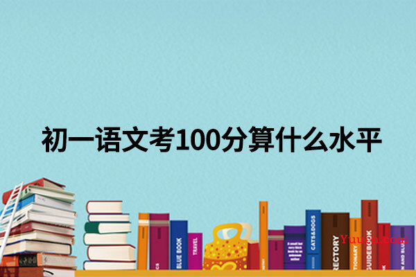 初一语文考100分算什么水平