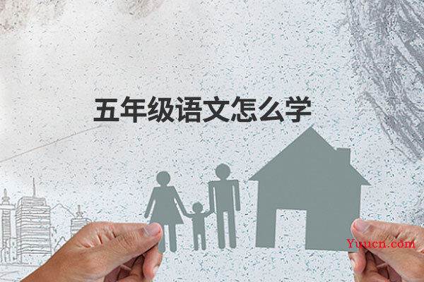 五年级语文怎么学