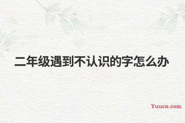 二年级遇到不认识的字怎么办