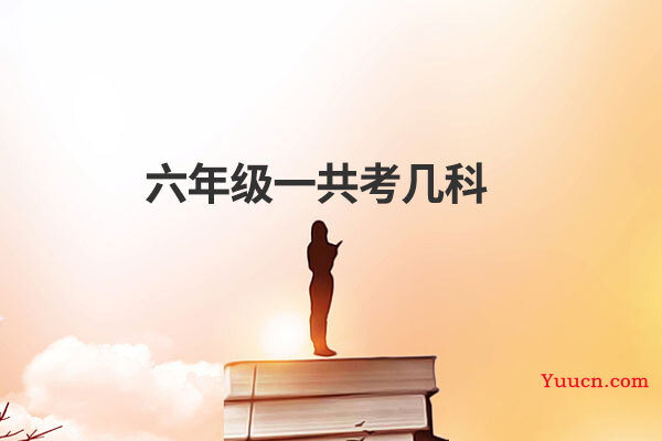 六年级一共考几科