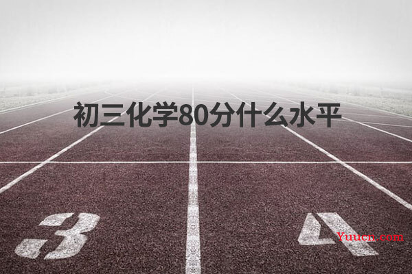 初三化学80分什么水平
