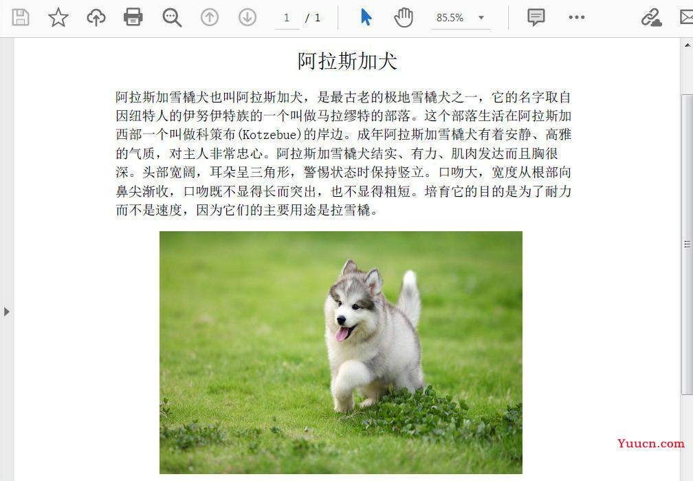 如何通过Java代码在PDF中插入、替换或删除图像？