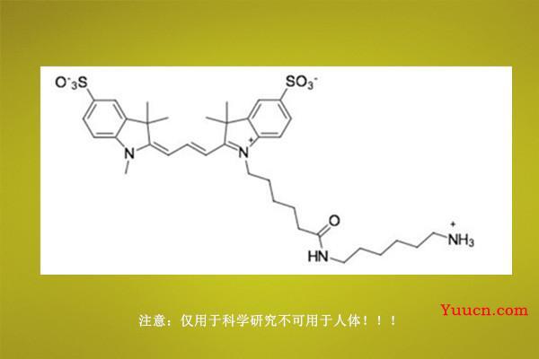 高度耐光Sulfo-Cy3 amine，2183440-43-7，Sulfo-Cyanine3 NH2，磺化Cy3氨基，水溶性菁染料