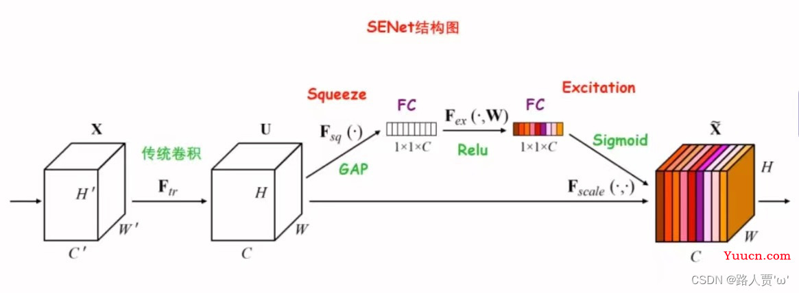 SENet代码复现＋超详细注释（PyTorch）