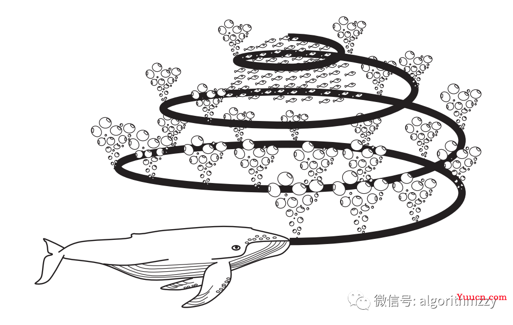 鲸鱼优化算法(WOA)及其优秀变体(含MATLAB代码)