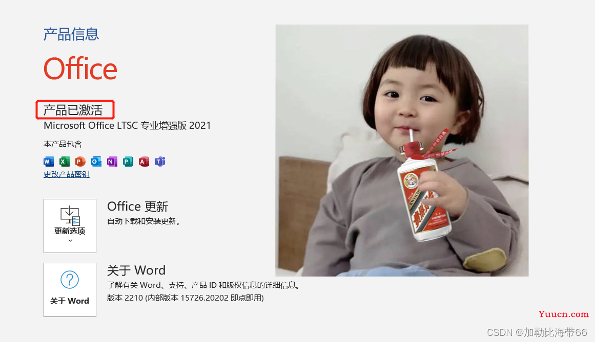海带软件分享——Office 2021全家桶安装教程(附报错解决方法) 海带软件分享——Office 2021全家桶安装教程(附报错解决方法)