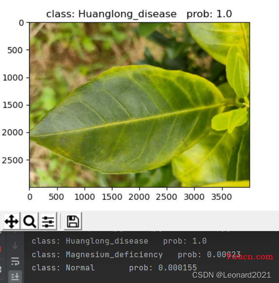 【pytorch】Vision Transformer实现图像分类+可视化+训练数据保存