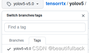 Jetson AGX Orin上部署YOLOv5_v5.0+TensorRT8