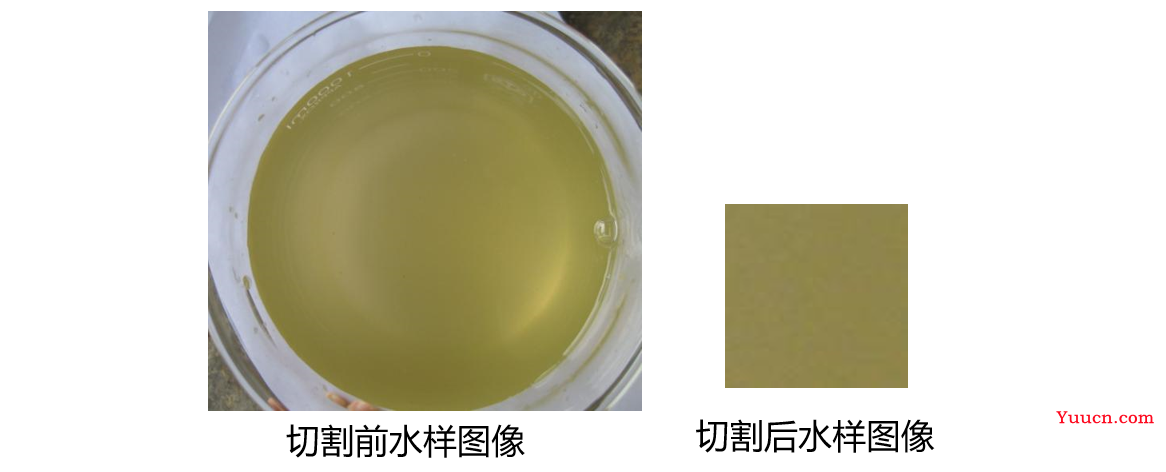 【数据挖掘实战】——基于水色图像的水质评价(LM神经网络和决策树)