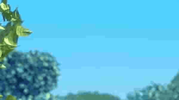 前端直接生成GIF动态图实践 前端直接生成GIF动态图实践