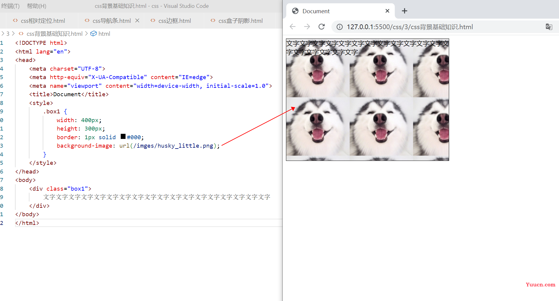 〖大前端 - 基础入门三大核心之CSS篇⑱〗- CSS中的背景 〖大前端 - 基础入门三大核心之CSS篇⑱〗- CSS中的背景