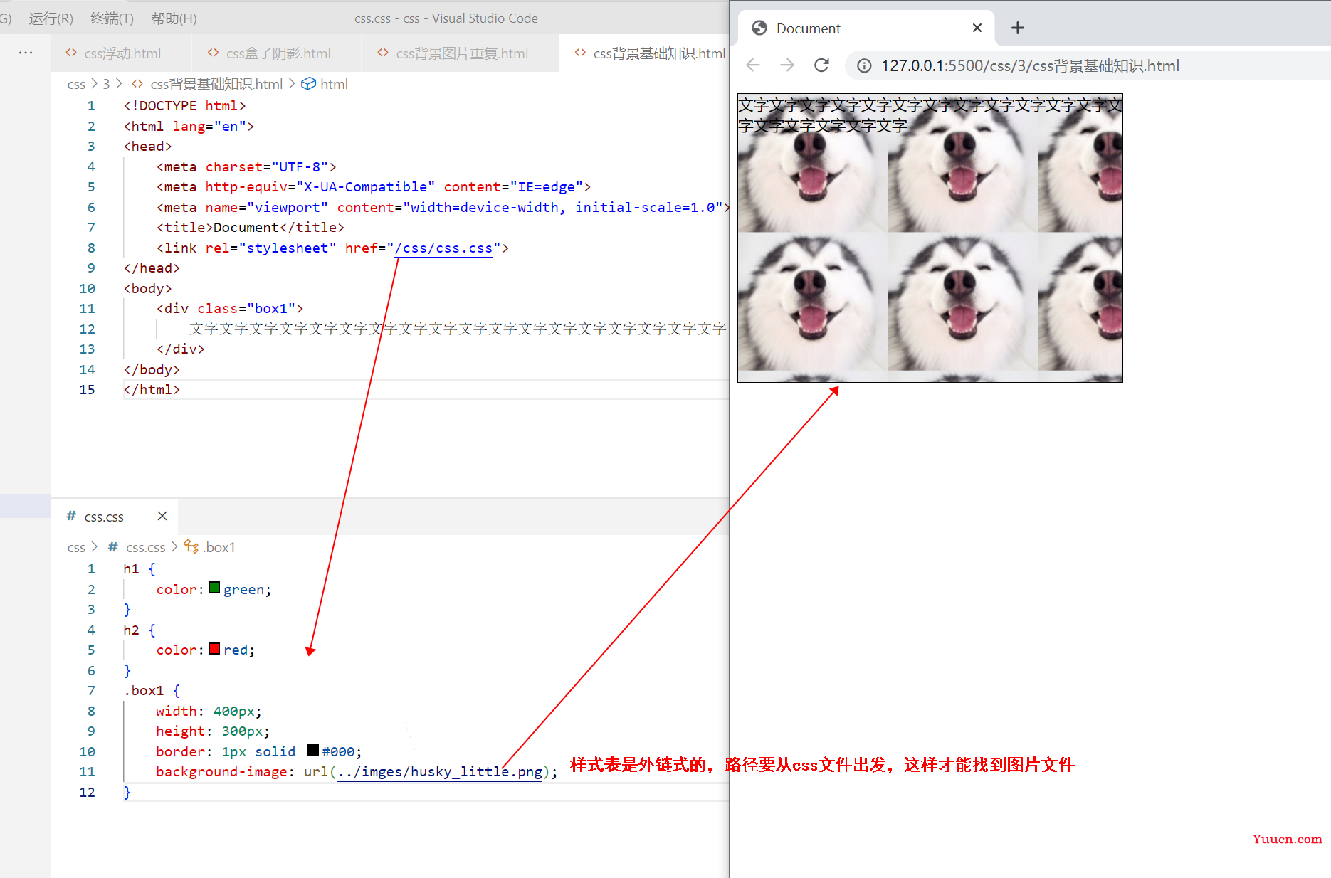 〖大前端 - 基础入门三大核心之CSS篇⑱〗- CSS中的背景 〖大前端 - 基础入门三大核心之CSS篇⑱〗- CSS中的背景