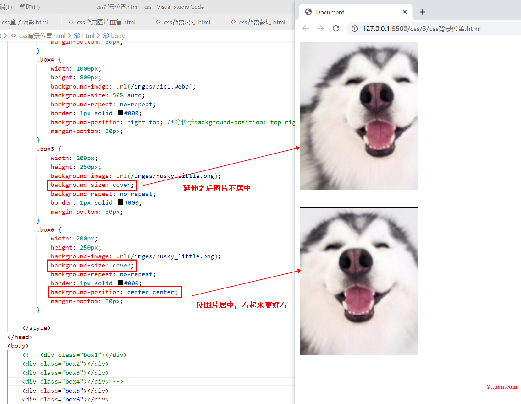 〖大前端 - 基础入门三大核心之CSS篇⑱〗- CSS中的背景 〖大前端 - 基础入门三大核心之CSS篇⑱〗- CSS中的背景