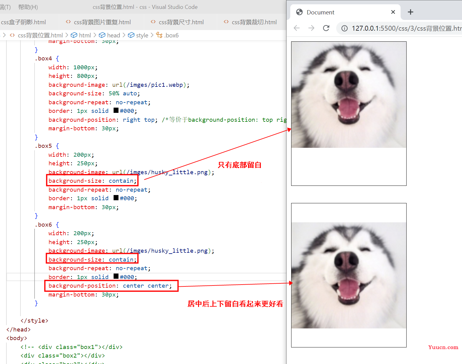〖大前端 - 基础入门三大核心之CSS篇⑱〗- CSS中的背景 〖大前端 - 基础入门三大核心之CSS篇⑱〗- CSS中的背景