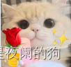 【微信小程序】-- 表单组件 - picker 实现日期选择器（五十三）