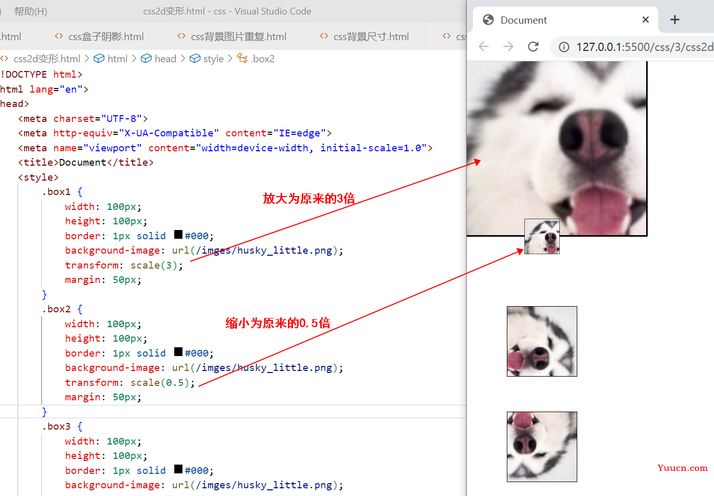 〖大前端 - 基础入门三大核心之CSS篇⑳〗- 2D变形 〖大前端 - 基础入门三大核心之CSS篇⑳〗- 2D变形
