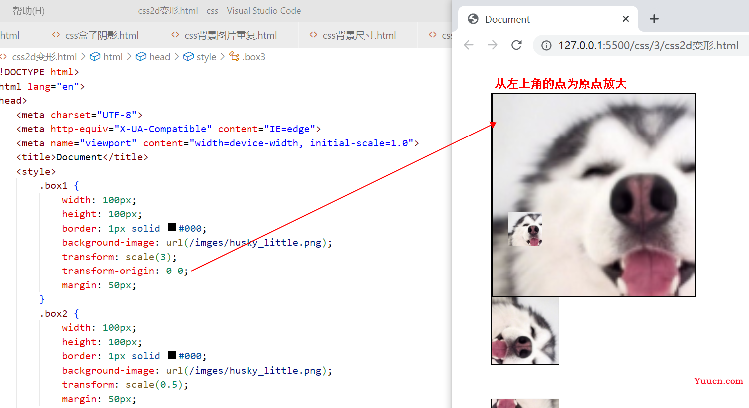 〖大前端 - 基础入门三大核心之CSS篇⑳〗- 2D变形 〖大前端 - 基础入门三大核心之CSS篇⑳〗- 2D变形