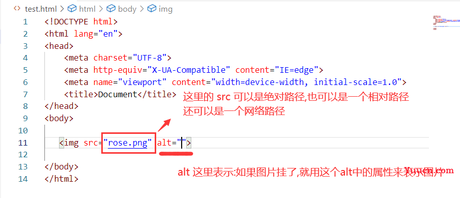 HTML入门学习笔记+详细案例