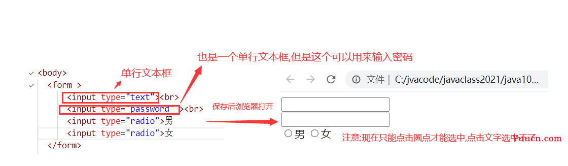 HTML入门学习笔记+详细案例