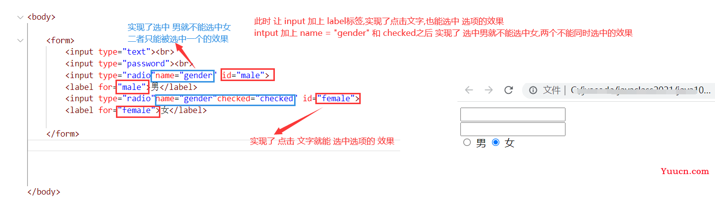 HTML入门学习笔记+详细案例