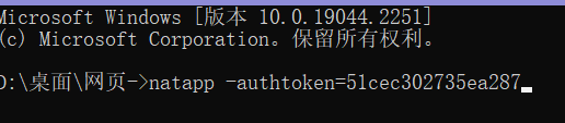 【免费】多种方法手把手教你如何将自己做的网页做成网络链接（直接访问）