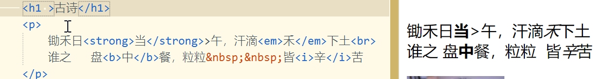 【中兴】web训练营~一文带你走进前端 | 百图制作