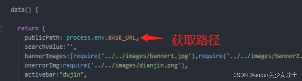 vue引用public目录下文件