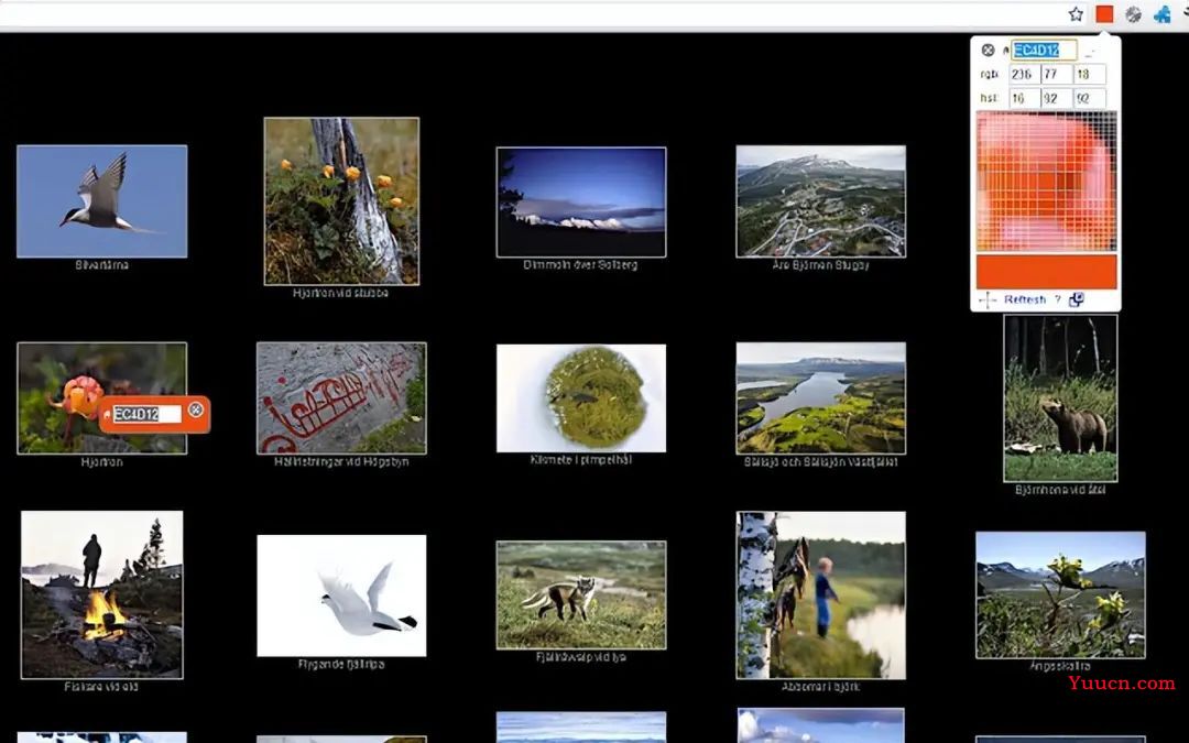 30个极致实用的谷歌浏览器插件，让你开发事半功倍