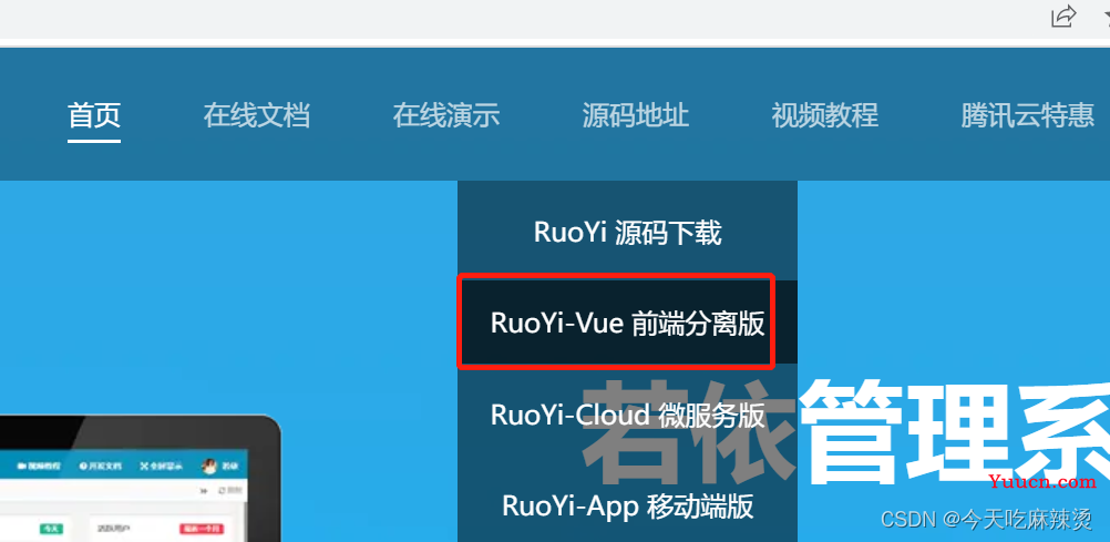 从零入门开源框架---若依(前后端分离版)
