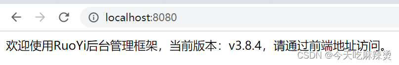 从零入门开源框架---若依(前后端分离版)