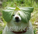 做了8年前端，细说那些曾经让你浴霸不能的后端