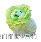 做了8年前端，细说那些曾经让你浴霸不能的后端